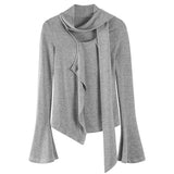 Fall Feels Cozy Tie Neck Knit Top