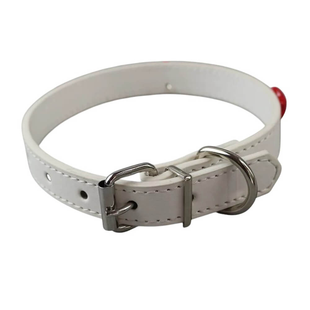 Red Apple Core Choker